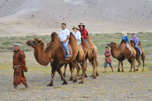 Camel Safari, South Gobi