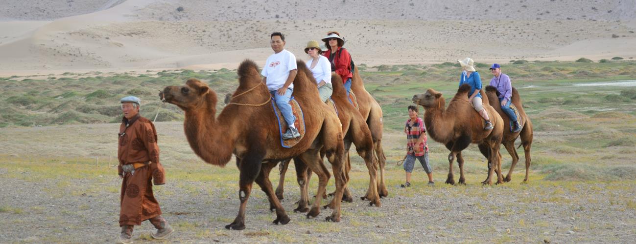  Camel Safari, South Gobi